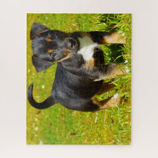 Jack Russell Dog. Puzzle (Vertikal)