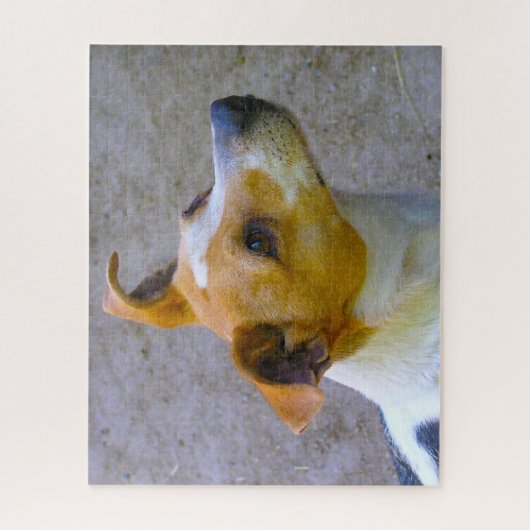 Jack Russell Dog. Puzzle (Vertikal)