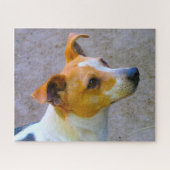 Jack Russell Dog. Puzzle (Horizontal)