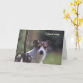 Jack Russell Geburtstagskarte Karte (Gelbe Blume)
