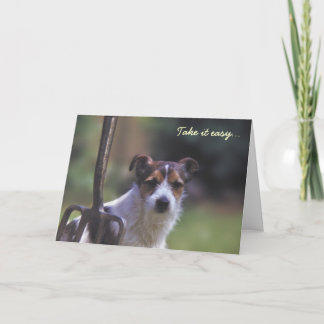Jack Russell Geburtstagskarte Karte