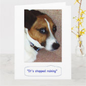 Jack Russell Greetings Card - Montys Bored Karte (Gelbe Blume)