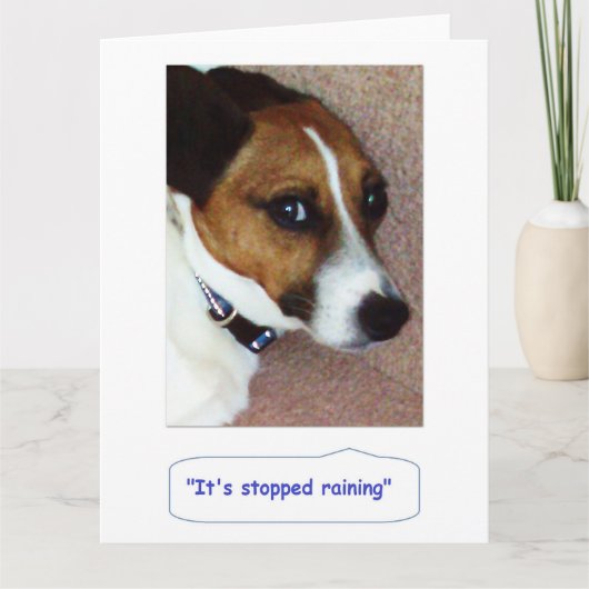 Jack Russell Greetings Card - Montys Bored Karte (Vorderseite)