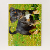 Jack Russell Hund. Puzzle (Vertikal)