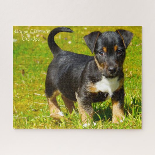Jack Russell Hund. Puzzle (Horizontal)