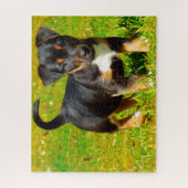 Jack Russell Hund. Puzzle (Vertikal)
