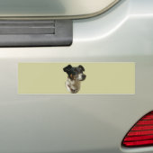 Jack-Russell-HundeAutoaufkleber Autoaufkleber (Auf Auto)