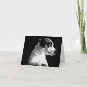 Jack Russell im Gedanken Karte