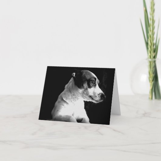 Jack Russell im Gedanken Karte (Vorderseite)