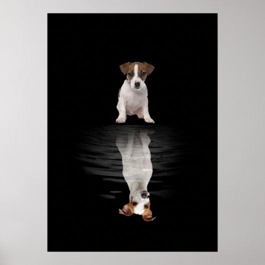Jack Russell Liebe Niedlich Jack Russell Poster (Vorne)