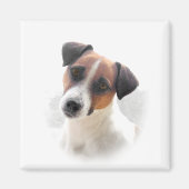 Jack Russell Magnet (Vorne)