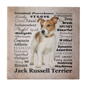 Jack-Russell-Merkmal-Fliese Fliese