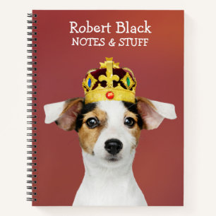 Jack Russell mit einem KronenNotebook Notizblock