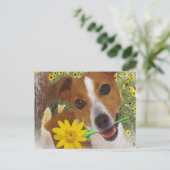 Jack Russell Mommas Junge Postkarte (Stehend Vorderseite)