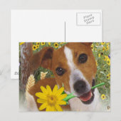Jack Russell Mommas Junge Postkarte (Vorne/Hinten)