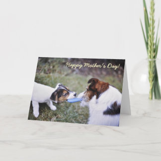 Jack Russell Mother-Tageskarte Karte