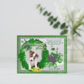Jack Russell New Pup 1 St Patty's Sie haben Mail G Postkarte (Stehend Vorderseite)