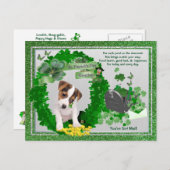 Jack Russell New Pup 1 St Patty's Sie haben Mail G Postkarte (Vorne/Hinten)