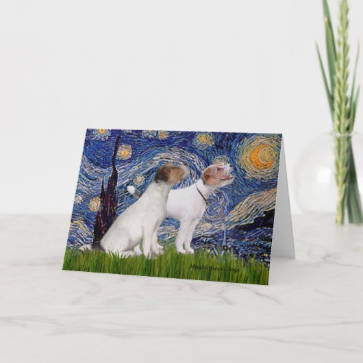 Jack Russell Pair 4 - Starry Night Karte (Vorderseite)