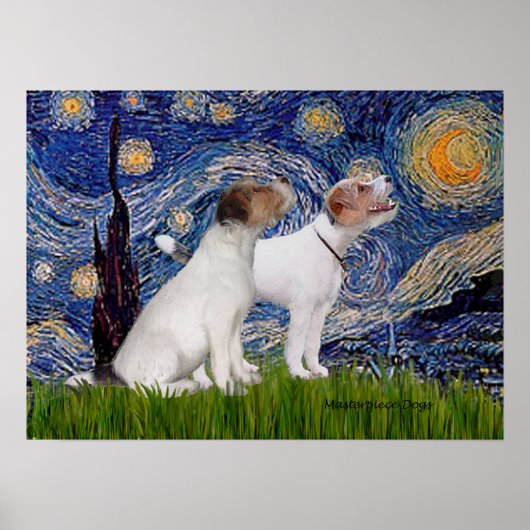 Jack Russell Pair 4 - Starry Night Poster (Vorne)
