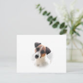Jack Russell Postcard Postkarte (Stehend Vorderseite)
