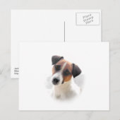 Jack Russell Postcard Postkarte (Vorne/Hinten)