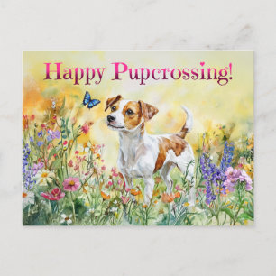 Jack Russell Postcross - Postkarte