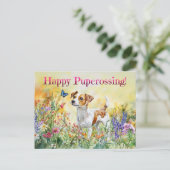 Jack Russell Postcross - Postkarte (Stehend Vorderseite)