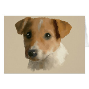 Jack Russell Puppy