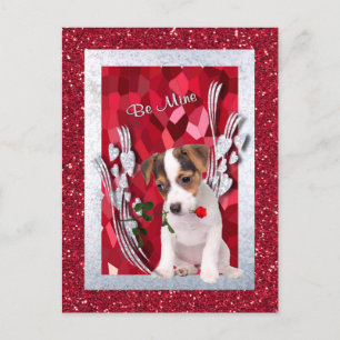 Jack Russell Puppy Be Mine Valentine Postkarte
