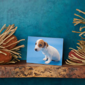 Jack Russell Puppy Fotoplatte (Seite)