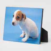 Jack Russell Puppy Fotoplatte (Seite)