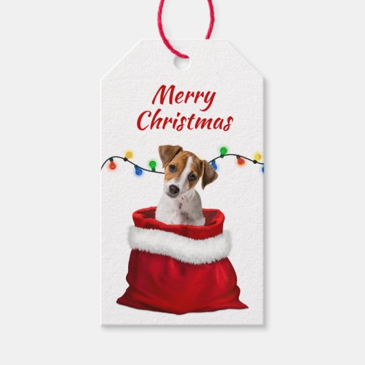 Jack Russell Puppy in Santa Bag Geschenkanhänger (Vorderseite)