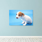 Jack Russell Puppy Leinwanddruck (Insitu (Holzboden))
