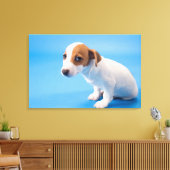 Jack Russell Puppy Leinwanddruck (Insitu (Wohnzimmer))