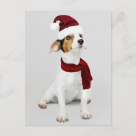Jack Russell Puppy mit Weihnachtsmannmütze Feiertagspostkarte