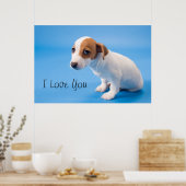 Jack Russell Puppy Poster (Küche)