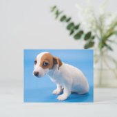 Jack Russell Puppy Postkarte (Stehend Vorderseite)