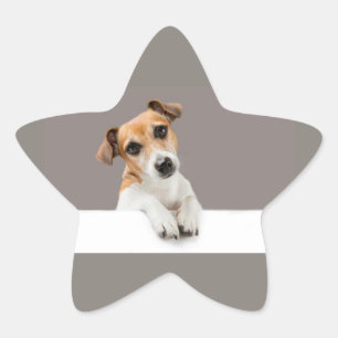 Jack Russell Puppy Sweet Adorable Baby Stern-Aufkleber
