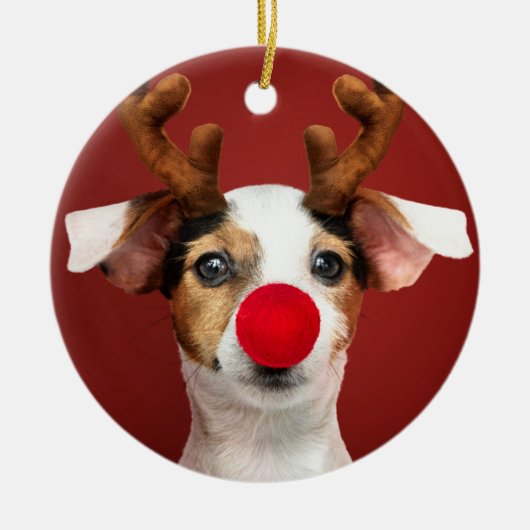 Jack Russell Rentier Keramik Ornament (Vorne)