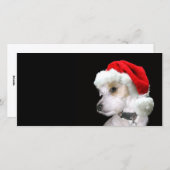 Jack Russell Sankt Feiertagskarte (Vorne/Hinten)