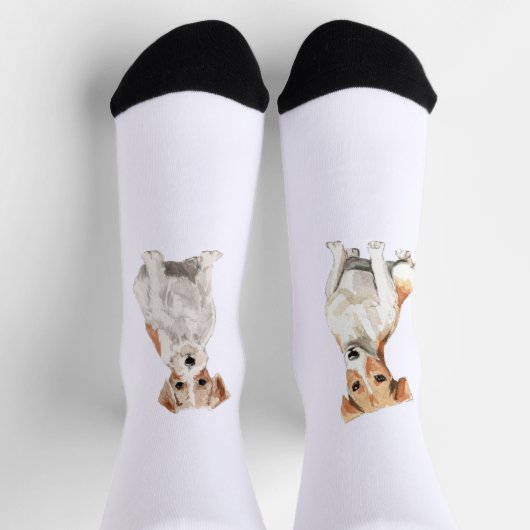 Jack Russell Socken (Oben)