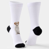 Jack Russell Socken (Gewinkelt)