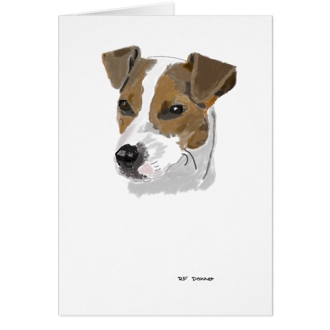 Jack-Russell-Terrier (Vorne)