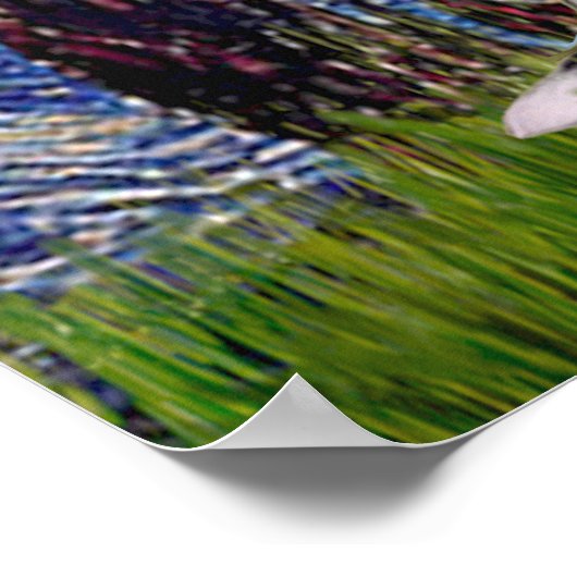 Jack Russell Terrier 5 - Starry Night Poster (Ecke)