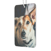 Jack Russell Terrier Air Freshener Autolufterfrischer (Links)