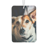 Jack Russell Terrier Air Freshener Autolufterfrischer (Rückseite)