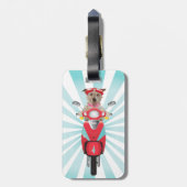 Jack-Russell-Terrier auf rotem Moped Gepäckanhänger (Rückseite vertikal)