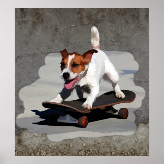 Jack Russell Terrier auf Skateboard Poster (Vorne)