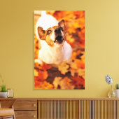 Jack Russell Terrier bellen und springen, Herbst Leinwanddruck (Insitu (Wohnzimmer))